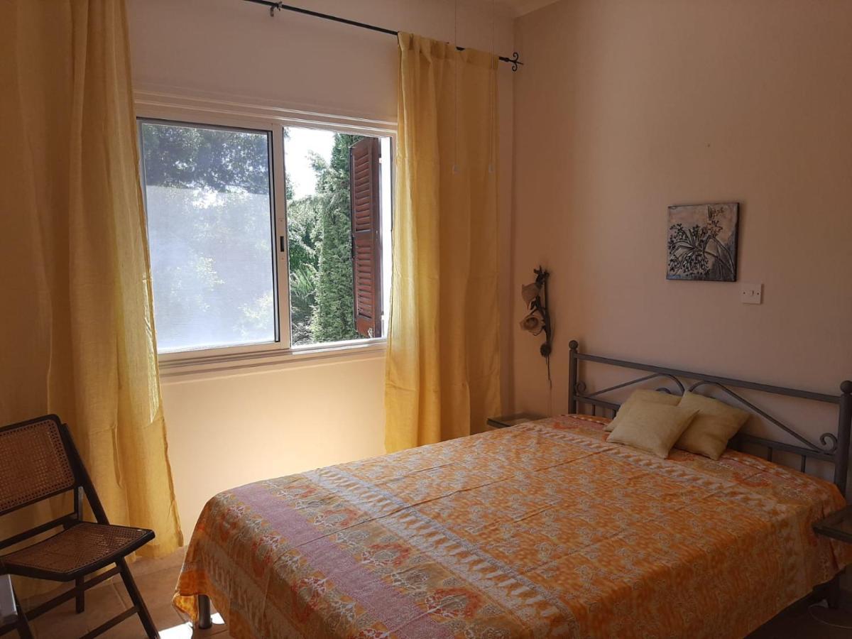 Limnaria Deluxe Maisonette Paphos Extérieur photo